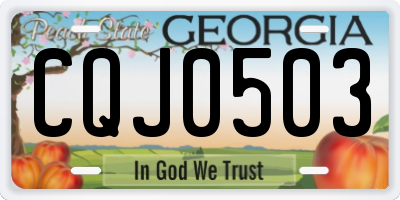 GA license plate CQJ0503
