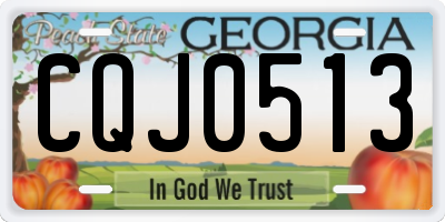 GA license plate CQJ0513