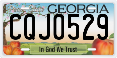GA license plate CQJ0529