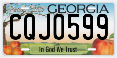 GA license plate CQJ0599