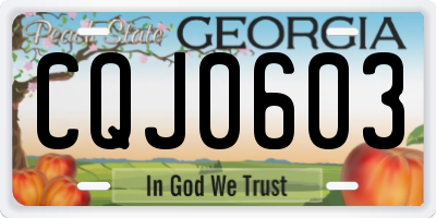 GA license plate CQJ0603