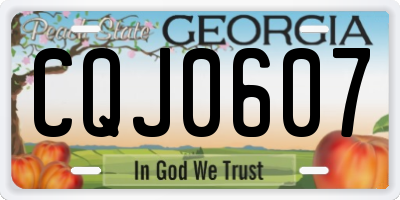 GA license plate CQJ0607