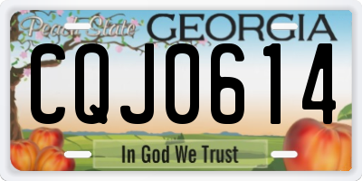 GA license plate CQJ0614