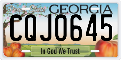 GA license plate CQJ0645