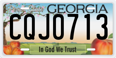 GA license plate CQJ0713