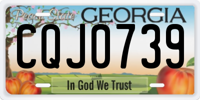 GA license plate CQJ0739