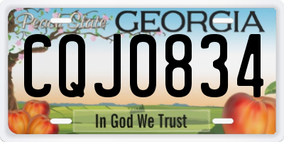 GA license plate CQJ0834