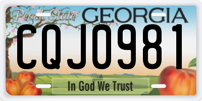 GA license plate CQJ0981