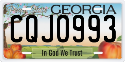 GA license plate CQJ0993