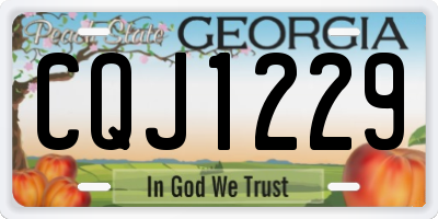 GA license plate CQJ1229