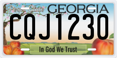 GA license plate CQJ1230