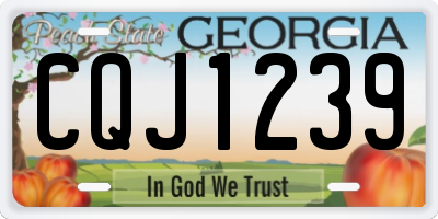 GA license plate CQJ1239
