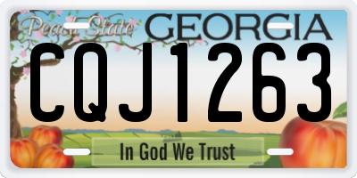 GA license plate CQJ1263