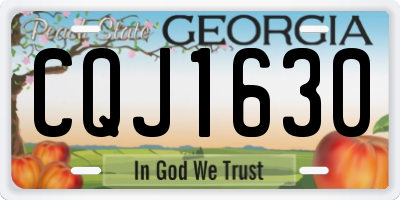 GA license plate CQJ1630
