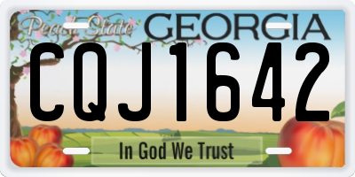 GA license plate CQJ1642