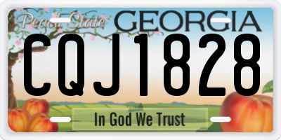 GA license plate CQJ1828