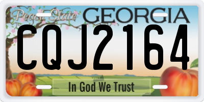 GA license plate CQJ2164
