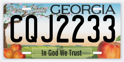 GA license plate CQJ2233