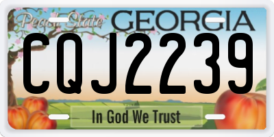 GA license plate CQJ2239
