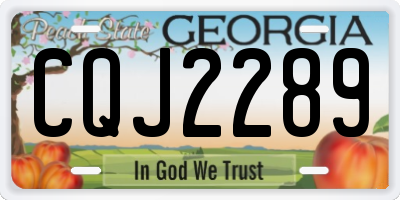 GA license plate CQJ2289