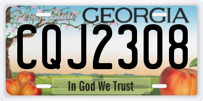 GA license plate CQJ2308