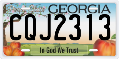 GA license plate CQJ2313