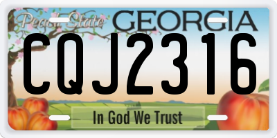 GA license plate CQJ2316