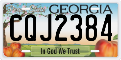 GA license plate CQJ2384
