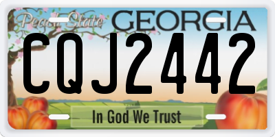 GA license plate CQJ2442
