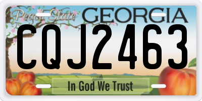 GA license plate CQJ2463