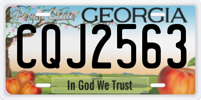 GA license plate CQJ2563