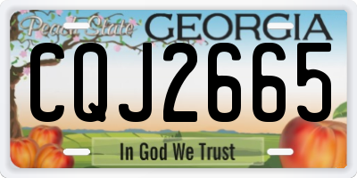 GA license plate CQJ2665