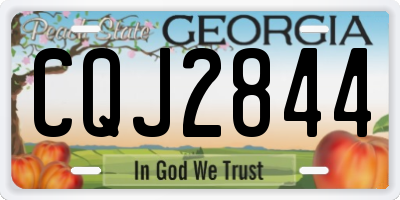 GA license plate CQJ2844