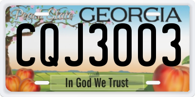 GA license plate CQJ3003