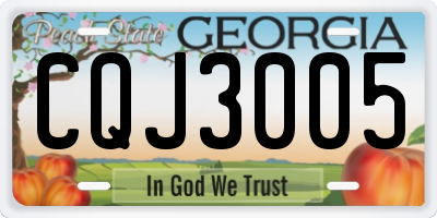 GA license plate CQJ3005