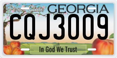 GA license plate CQJ3009