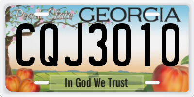 GA license plate CQJ3010
