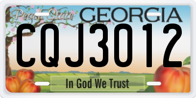 GA license plate CQJ3012