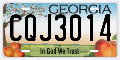 GA license plate CQJ3014