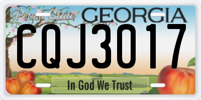 GA license plate CQJ3017