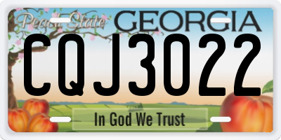 GA license plate CQJ3022