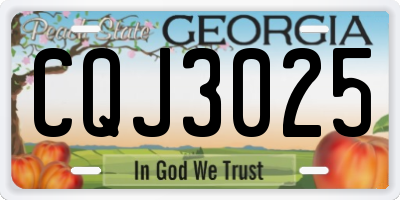 GA license plate CQJ3025