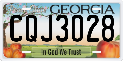 GA license plate CQJ3028