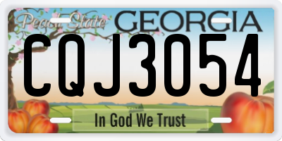 GA license plate CQJ3054