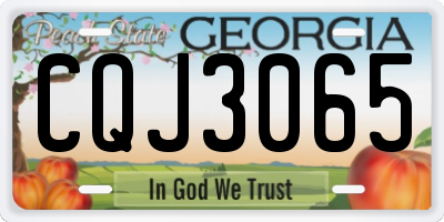 GA license plate CQJ3065