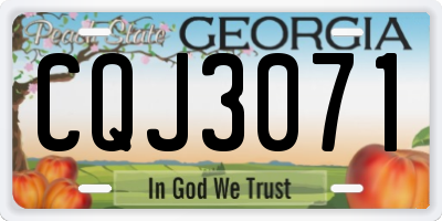 GA license plate CQJ3071
