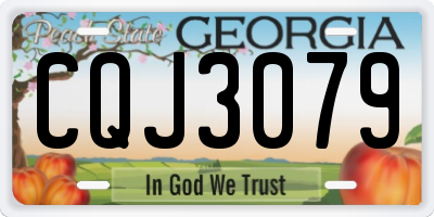 GA license plate CQJ3079