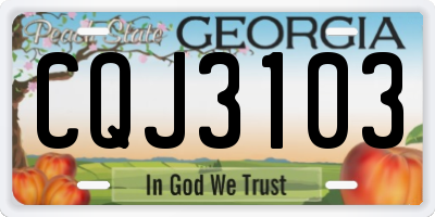 GA license plate CQJ3103