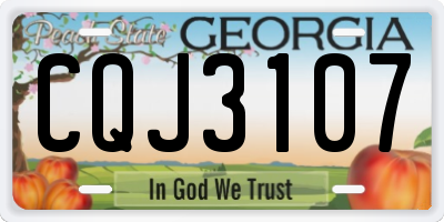 GA license plate CQJ3107