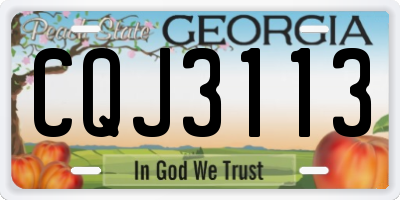 GA license plate CQJ3113
